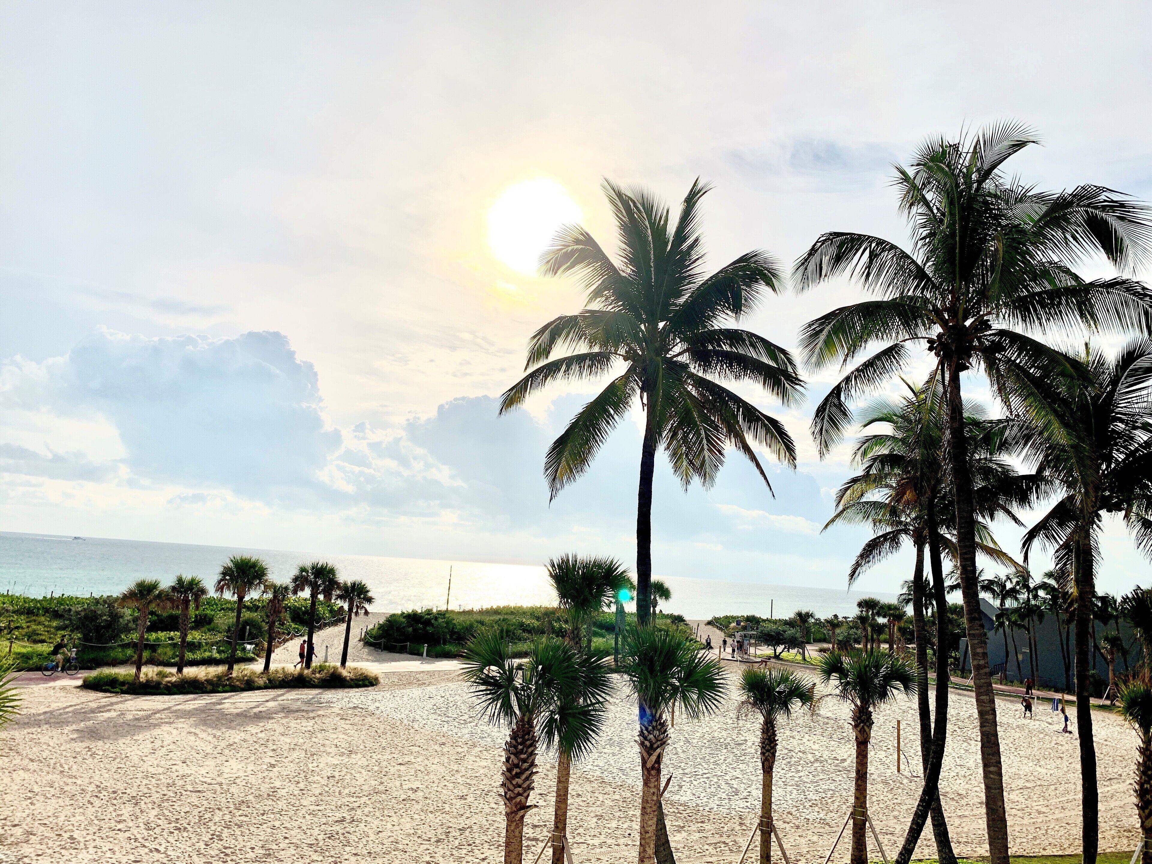 Ocean Surf Hotel - Miami Beach — Billeder 1